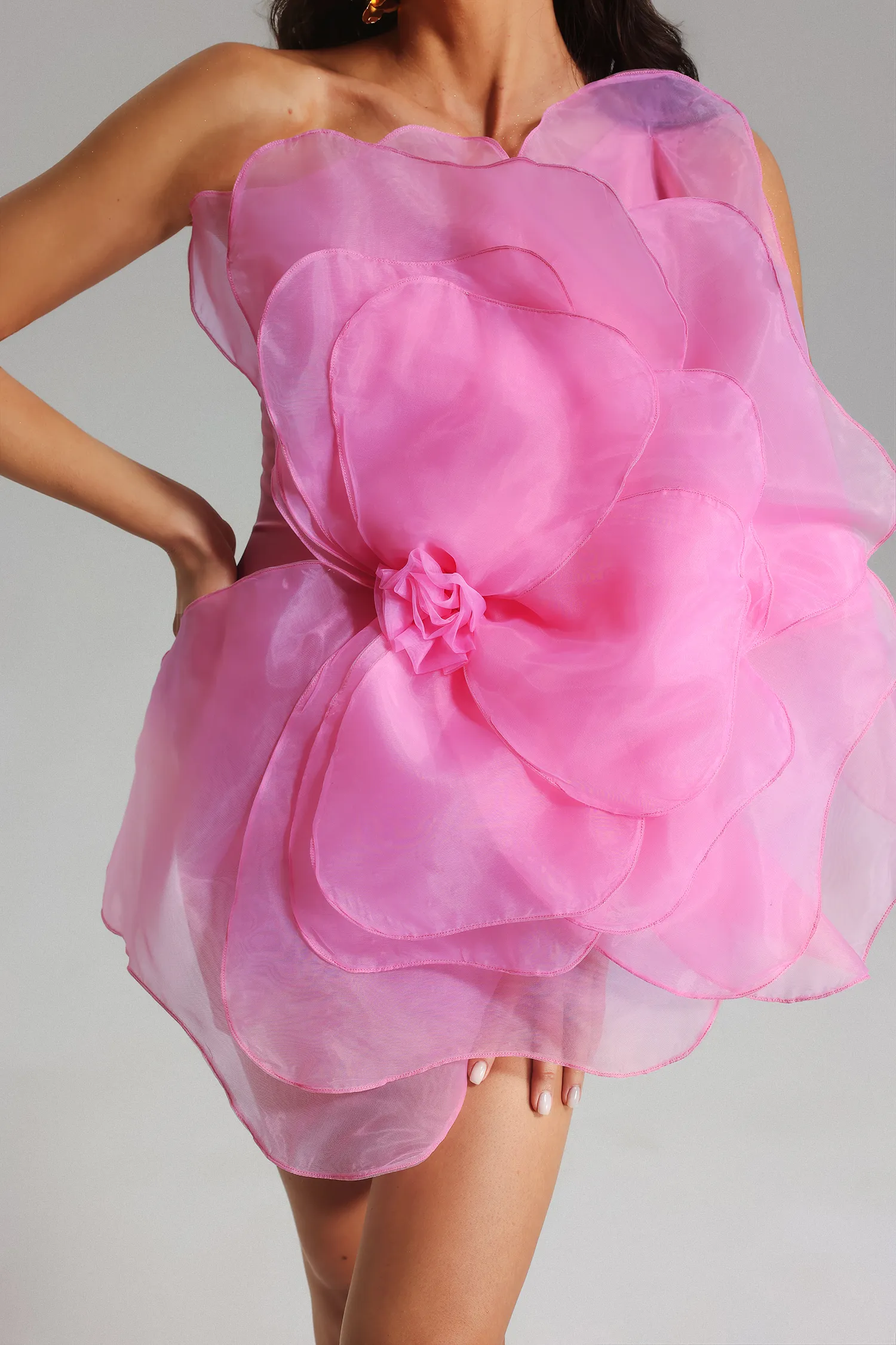 Nydia Mesh Flower Dress